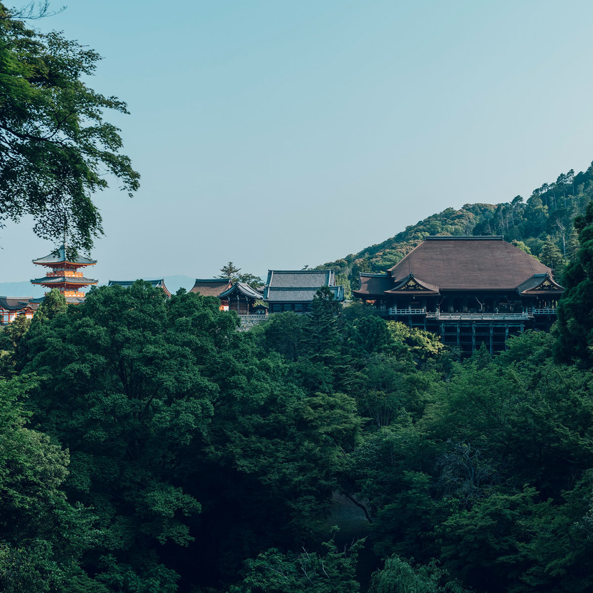 清水寺 参考图 1